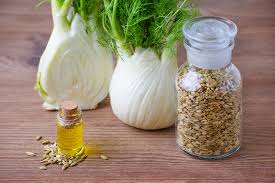 Image result for fennel on the wooden table