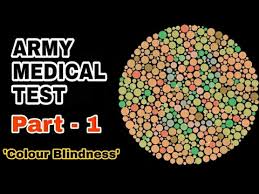 Army Medical Test Eye Test L Color Blindness Test L