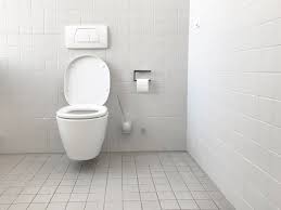 how to fix a toilet that flushes by