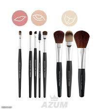 lr health beauty makeup brush set lr