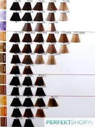 Argan Oil Hair Color Chart 7 Application Letter