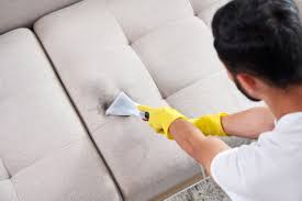 sofa cleaning house cleaning