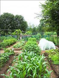 no dig garden beds vegetable garden