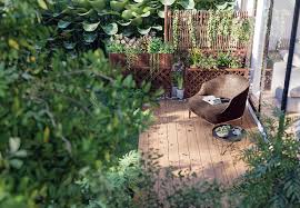 Evergreen Plant Ideas For Shady Gardens