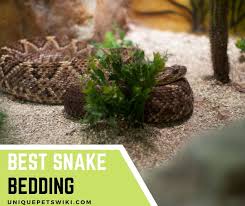 best snake bedding 10 best bedding for