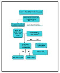 Flow Chart Of A Fannie Mae Short Sale Brief Overview Of The