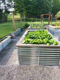 containers raised beds rows what to