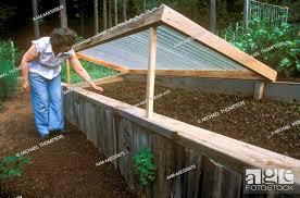 Wood Framed Raised Bed For Protection