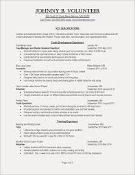 resume examples for creative professionals new excellent essay resume examples for creative professionals new excellent essay examples new essay example save resumes skills