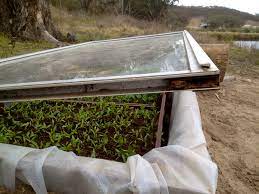 Making Cold Frames From Glass Doors