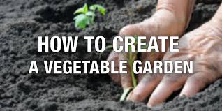 How To Create A Vegetable Garden