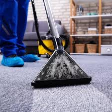 top 10 best organic carpet cleaner near