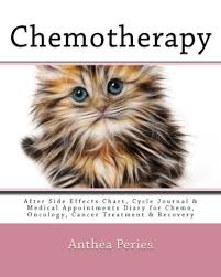 Chemotherapy After Side Effects Chart Cycle Journal