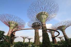 full day gardens by the bay tour 2024