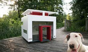 Build Your Own Dog House