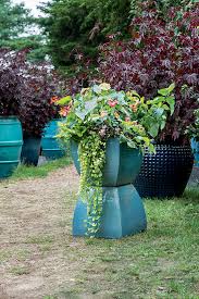 container gardens flower power new