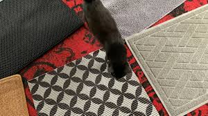 8 best cat litter mats of 2023 reviewed
