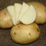 are-kennebec-potatoes-heirloom
