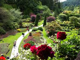 butchart gardens and high tea