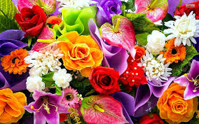 colourful bouquet blossoms flowers