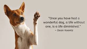 Or is there something more complicated going on? 100 Of The Best Dog Inspired Quotes Puppy Leaks