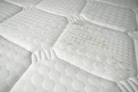 what does mold on a mattress look like