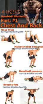 The 4 Week Dumbbell Workout Plan Part 1