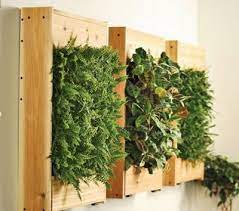 How To Build A Green Wall Instantly