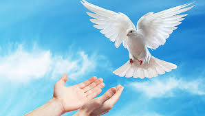 gifts of the holy spirit all you need