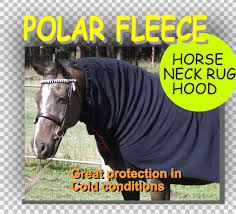 polar fleece horse neck rug pose