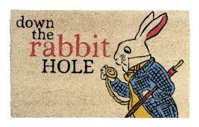 the rabbit hole coir doormat entryways