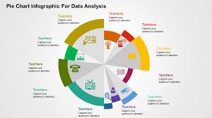 pie chart infographic for data ysis