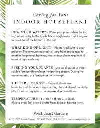 These plants are low maintenance and easy to grow. Indoor Plant Care West Coast Gardens Surrey Bc