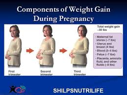 pregnancy and weight gain shilpsnutrilife