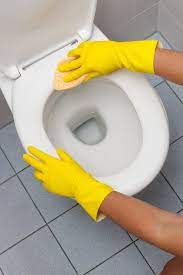 Clean Stains On Plastic Toilet Seats