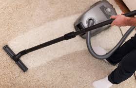 carpet cleaning whangarei professional