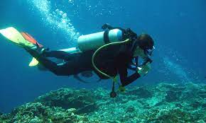 scuba diving in moalboal cebu planet