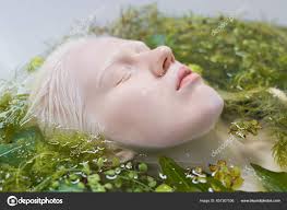 albino lying bath warm pure water