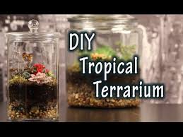 A Terrarium For Plants In A Jar