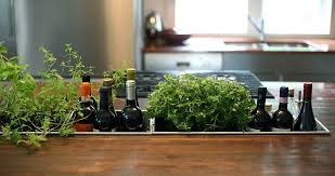 25 Kitchens With Small Herb Gardens