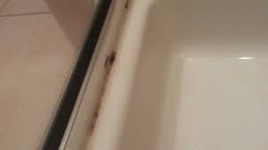 mold on your shower and bathtub caulking