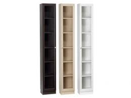 Tall Narrow Bookcase With Doors