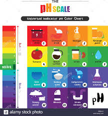 The Ph Scale Universal Indicator Ph Color Chart Diagram
