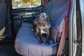 Dog Seat Covers For Trucks Realtruck