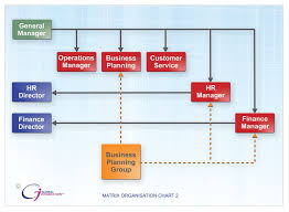 Sample 6 Matrix Organization Chart Organizational Chart