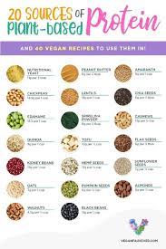 Allpin Info Vegetarian Vegan Recipes Whole Food Recipes Vegan Dinners gambar png
