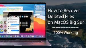 And yeah, i didn't include the updated folder icons. How To Recover Deleted Files On Macos Big Sur 100 Working