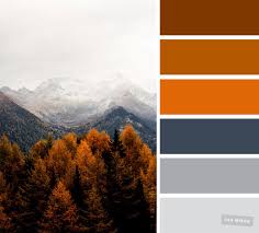 Burnt Orange Color Palette