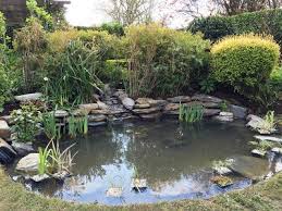 Water Feature And Pond Design