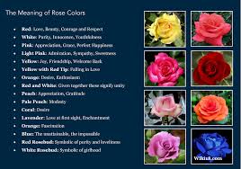The Meaning Of Rose Colors Rose Color Meanings Rose